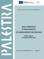 Basic principles of biochemistry of human energy metabolism